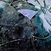imageye___-_imgi_11_texture_of_broken_glass_2023_03_22_11_11_33_utc_1_thumb